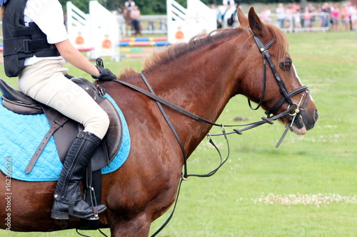 Horse and young equestrian rider waiting to compete in a show jumping competition