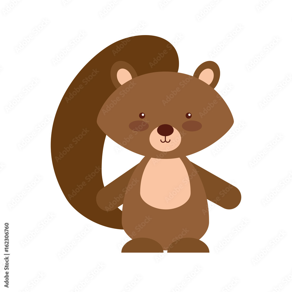 Animal squirrel cartoon icon vector illustration design graphic Animal squirrel cartoon icon vector illustration design graphic