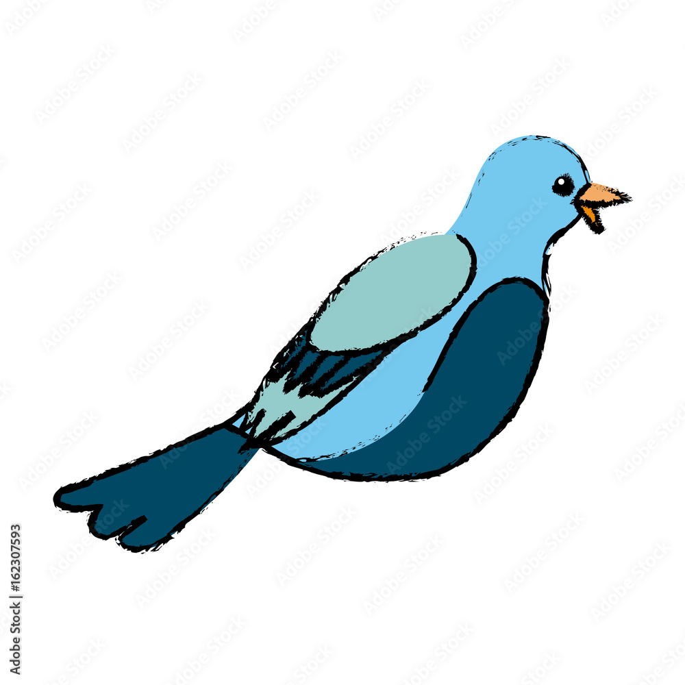 Fototapeta premium cute bird exotic beak feather adorable icon vector illustration