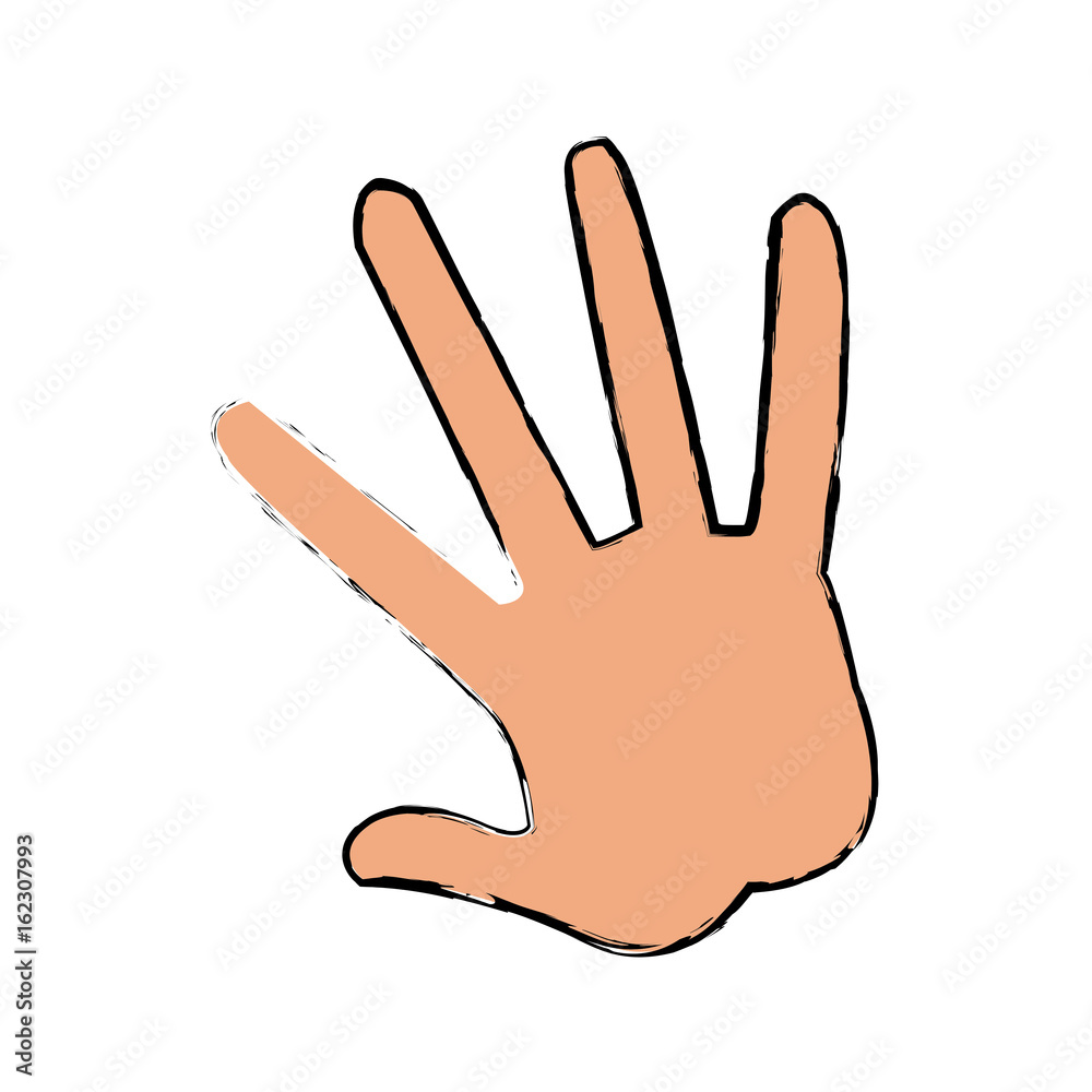 hand human showing five finger vector illustraton hand human showing five finger vector illustraton