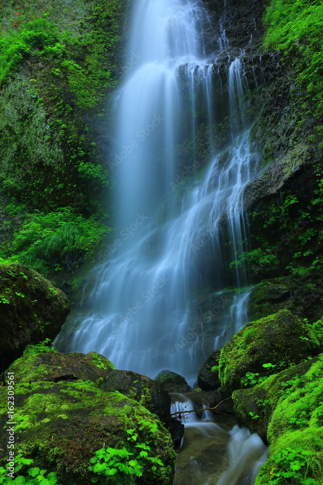 夏の降る滝 夏の降る滝