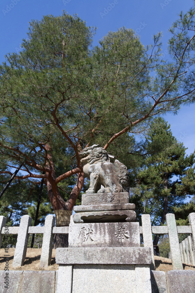 Statue of lion-dog called Komainu at the main gate as the guardian of Kitano Shrine.
