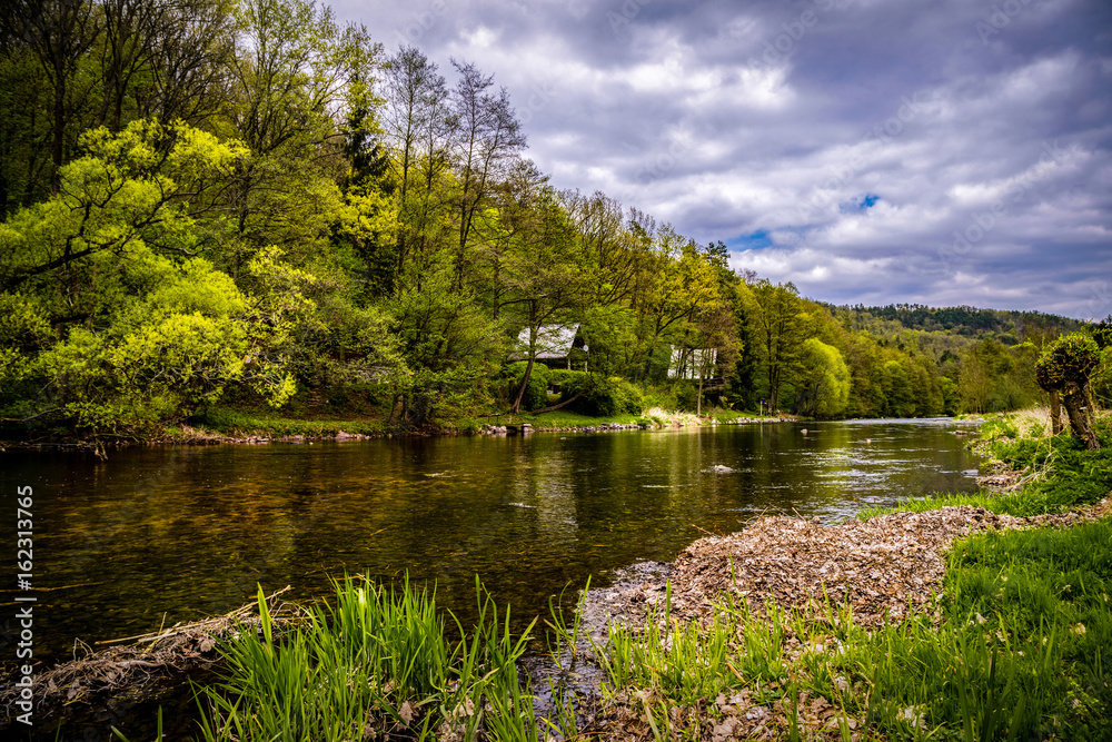 Obraz premium Trees plants on river on cloud spring day