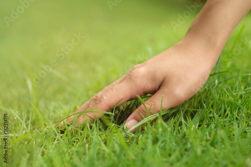 Woman hand touching on the grass