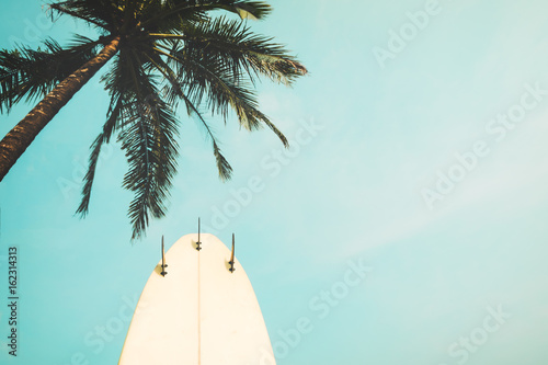 Obraz Deska surfingowa z palmą w sezonie letnim. odcień rocznika
