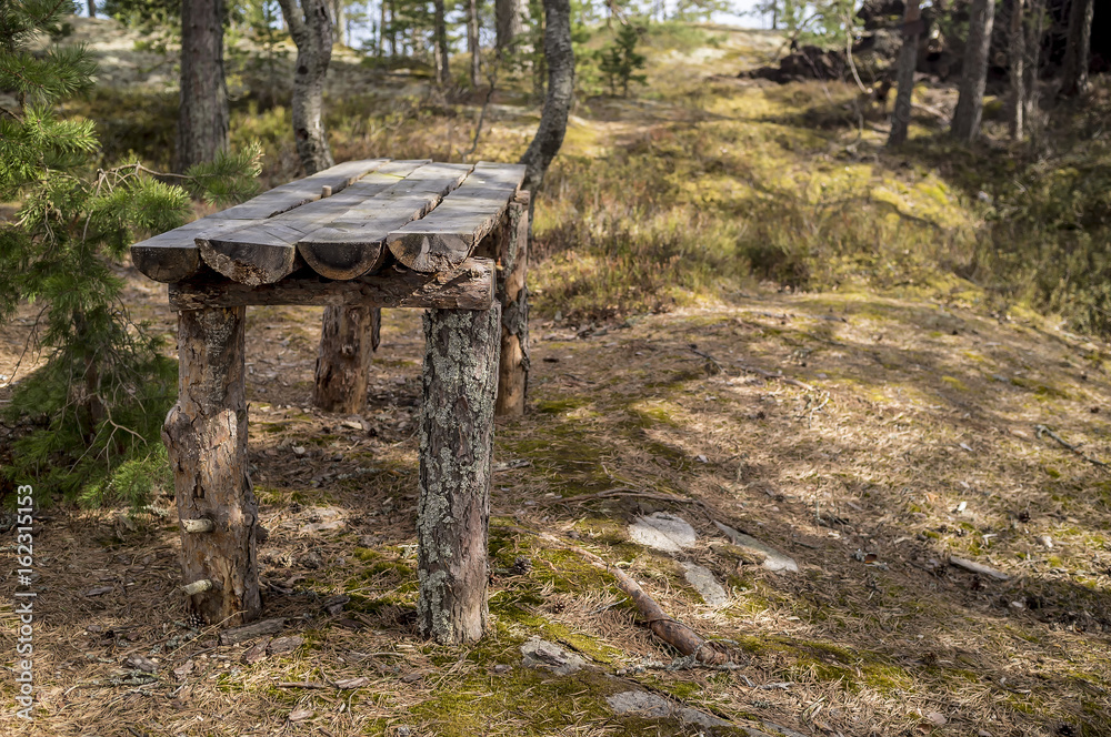Obraz premium Camp on the rocky shore of the lake. Old wooden table from the pines in spring forest.