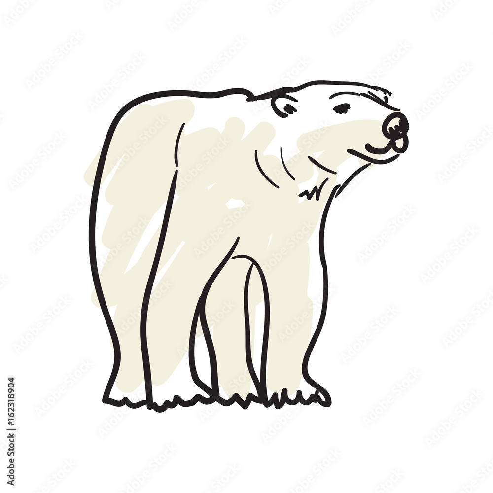 Fototapeta premium White bear hand drawn icon isolated on white background vector illustration. Northern wild animal pictogram, zoo sketch emblem
