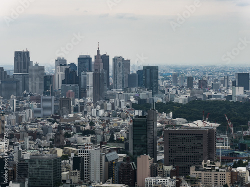 Tokyo city skyline under fog