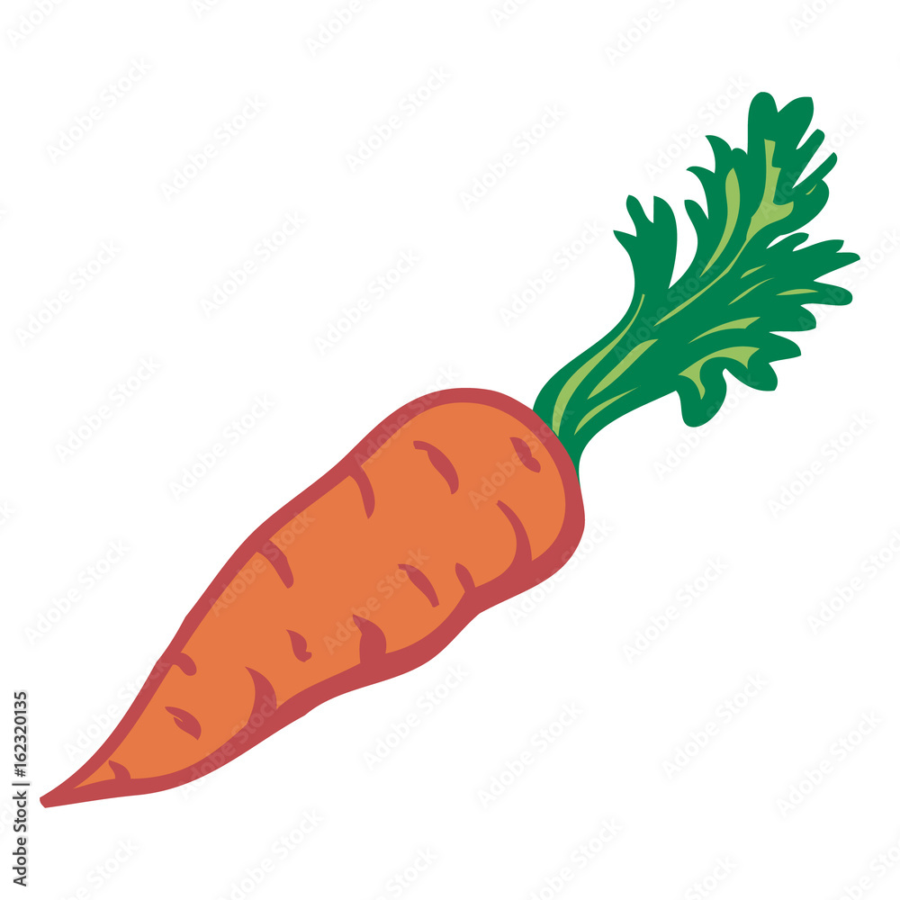 Carrot. Isolated object. Vector Image. Carrot. Isolated object. Vector Image.