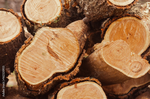 Close-up of log stack