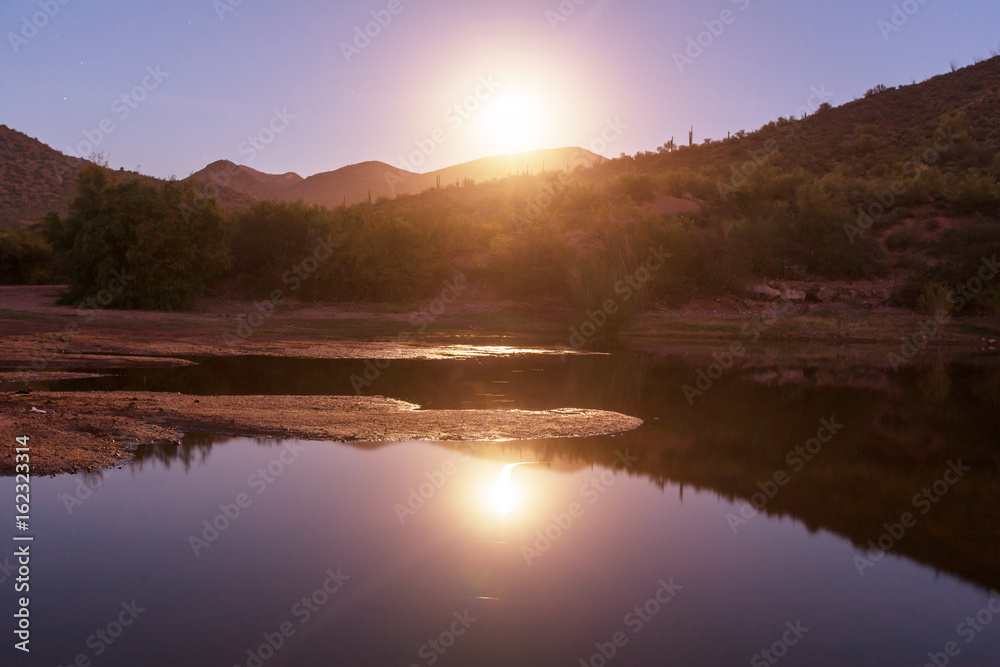 Obraz premium Moonlight