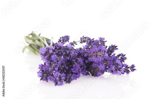 Bouquet Lavender on white background
