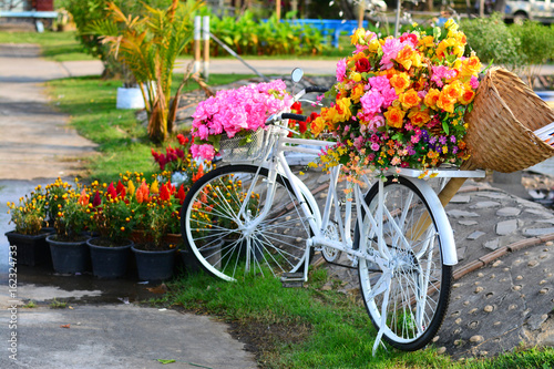 Beautiful colorful flowers on white bicycle concept of wedding and valentine landscape in the garden background