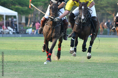 Horses Polo Running In a Game.