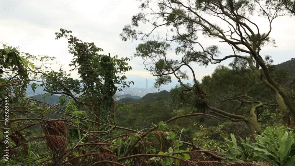 View of the famous Taipei 101 building from the mountains of Taiwan. There is vegetation and trees around. Zoom out. View of the famous Taipei 101 building from the mountains of Taiwan. There is vegetation and trees around. Zoom out.