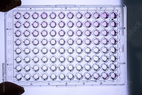 96 wells microplate
