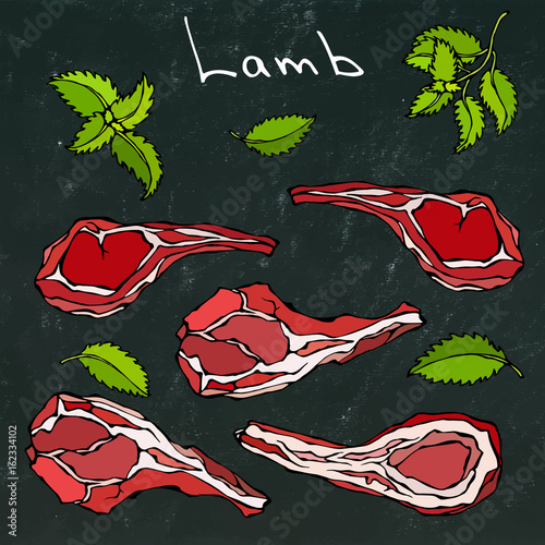 Raw Lamb Chop Ribs Set. Realistic Hand Drawn Doodle Style Sketch.Vector Illustration Isolated on a Black Chalkboard Background. Fresh Meat Cuts.