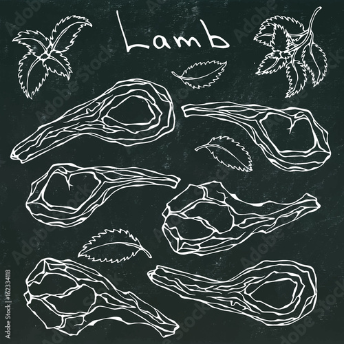Raw Lamb Chop Ribs Set. Realistic Hand Drawn Doodle Style Sketch.Vector Illustration Isolated on a Black Chalkboard Background. Fresh Meat Cuts.