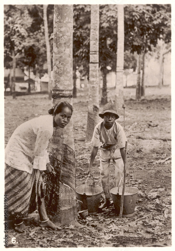 Tapping Rubber Trees. Date: early 20th century