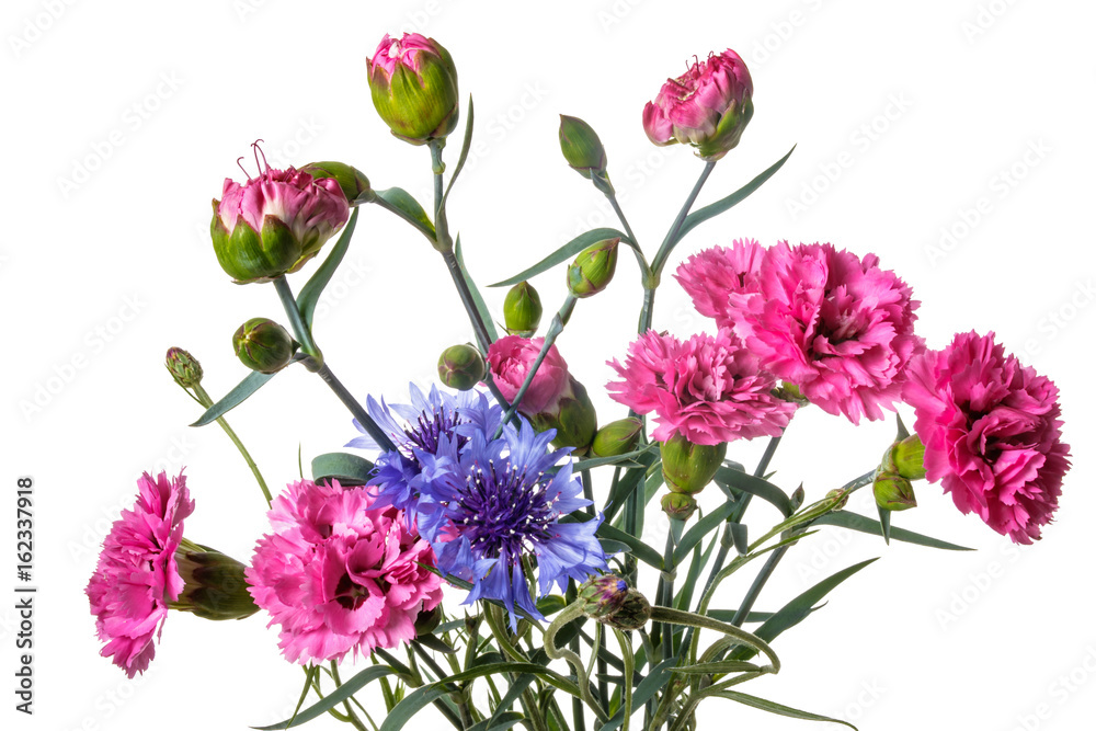Bouquet of garden flowers isolated on a white background