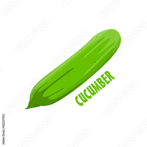Logo Cucumber vector farm design