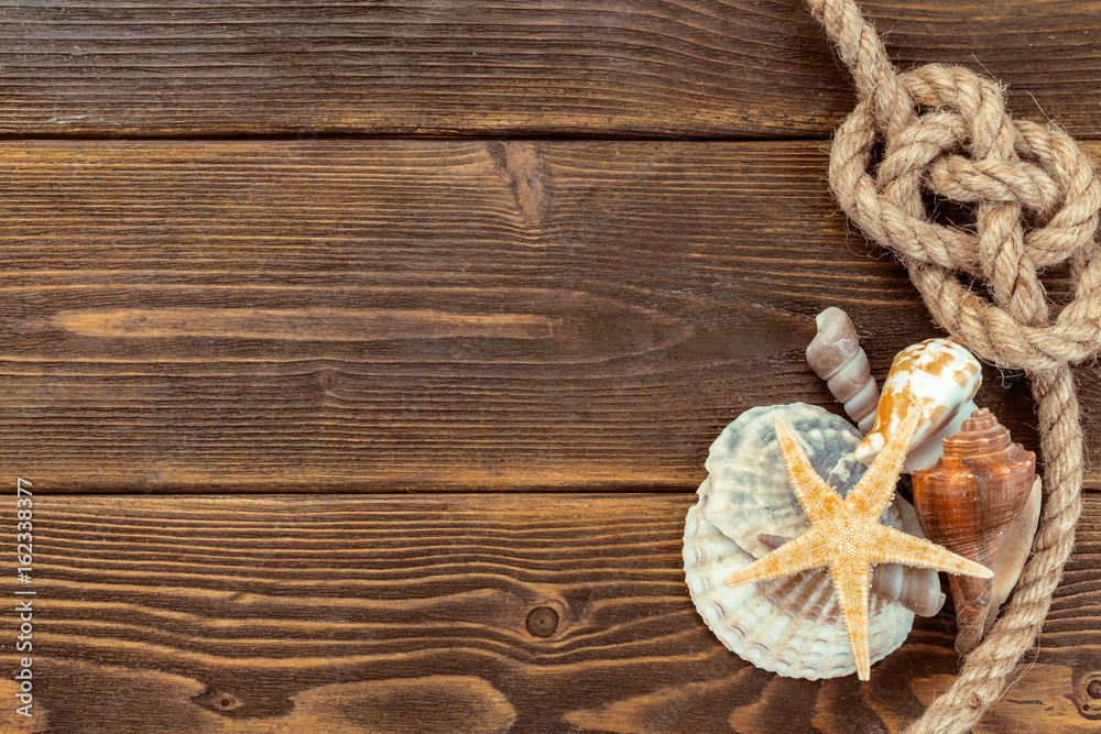 Seashells border on wood. Marine background Seashells border on wood. Marine background