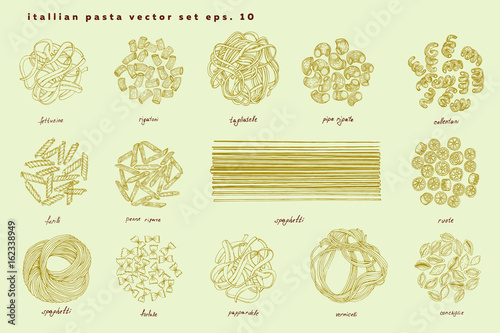 Different kinds of Italian pasta with names. Fettucine, conchiglie, fusilli, cellentani, vermicelli, tagliatelle, pipe rigate, ruote, macaroni, penne, farfalle, spaghetti.