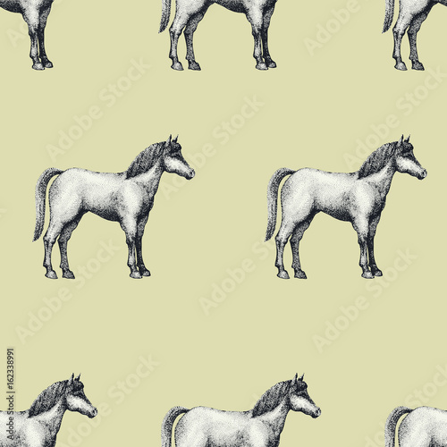 Horse  vintage engraved vector seamless pattern. Can be use for shops and markets of organic food. Vintage illustration.