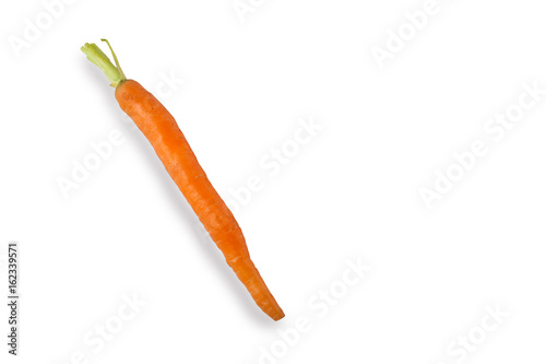 Baby Carrot on White Background
