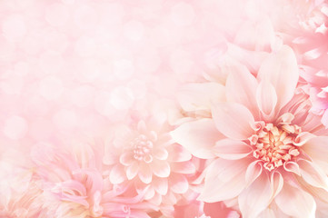 Keuken achterwand Dahlia Zomerse dahlia met bokeh effect  © ulada