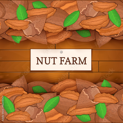 Wooden box with pecan nuts. Vector illustration. Boards wood background, border with walnut fruit and label. For the design of packaging food, breakfast, detox diet, vegan, cosmetics oil.