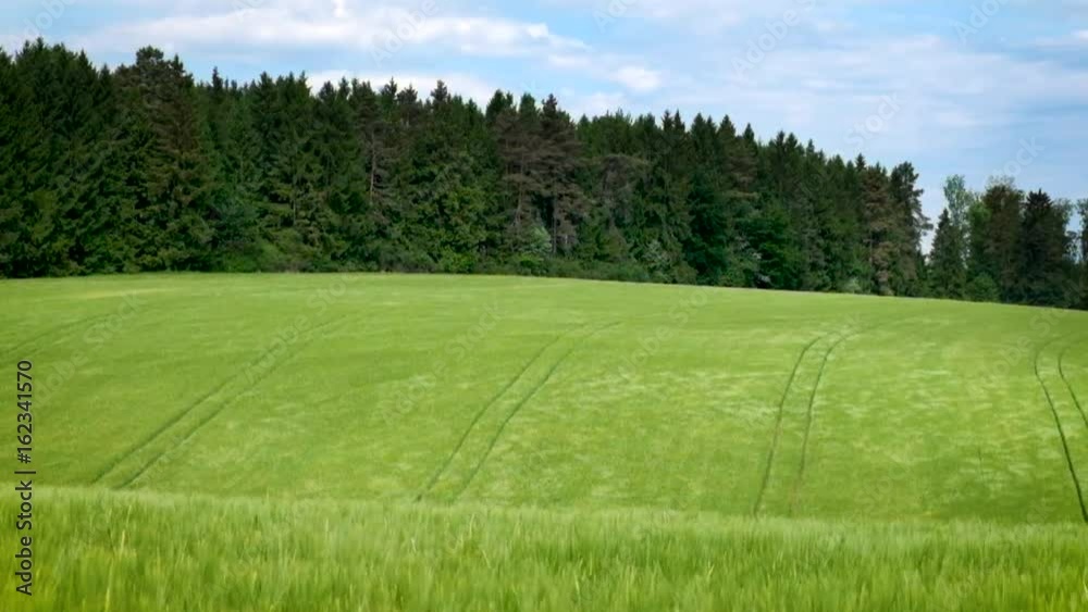 Wind weht ein Muster in ein Feld