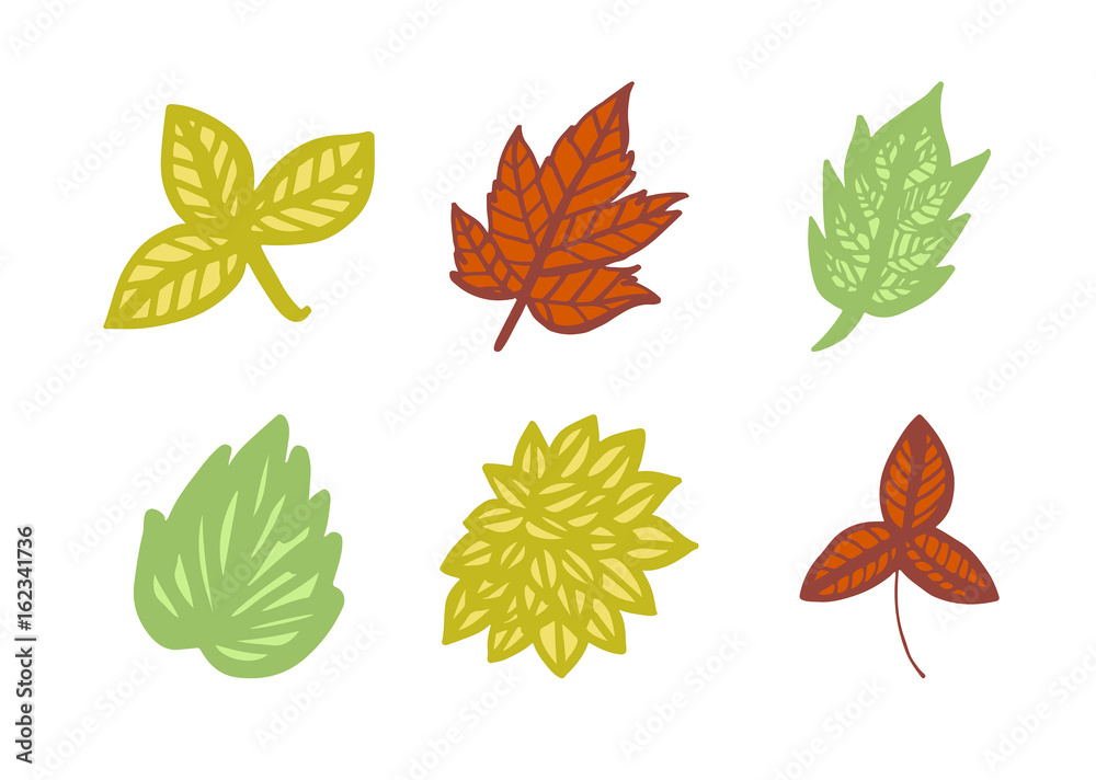 Obraz premium Vector icon of autumn leaves against white background
