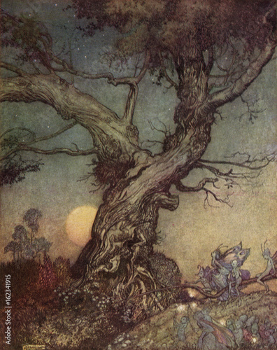 Fairy folk by an old gnarled tree - Arthur Rackham photo