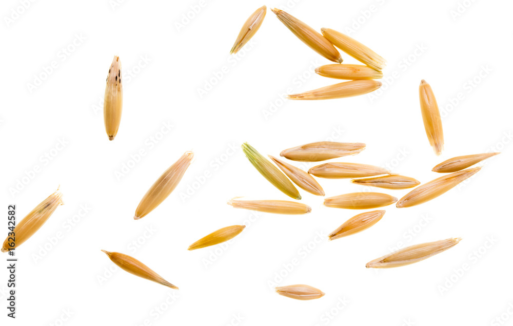 Grain of oats isolated on white background Grain of oats isolated on white background