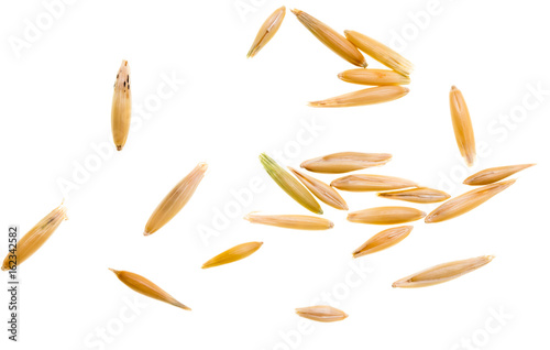 Grain of oats isolated on white background