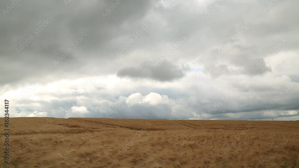 Clouds floating over the field Clouds floating over the field
