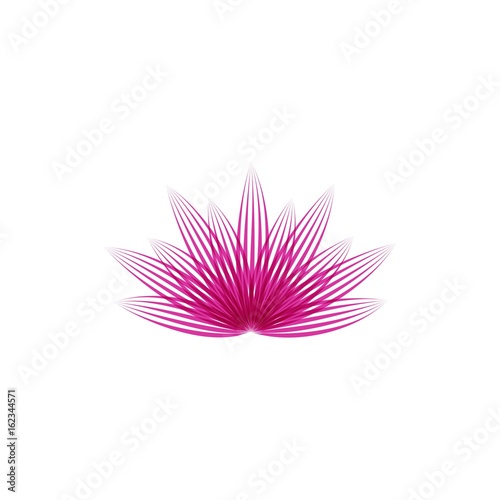 Lotus flower vector illustration