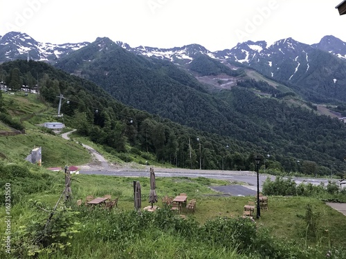 Hidden life in Mountains