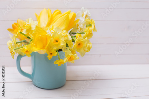 Spring daffodils  flowers in  blue cup  on white  wooden background.