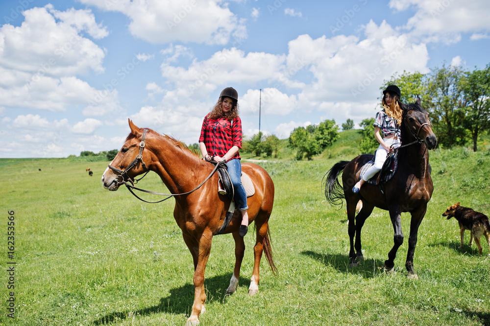 Tow young pretty girls riding a horses on a field at sunny day Tow young pretty girls riding a horses on a field at sunny day