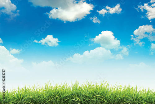 Cloudy blue sky and green grass