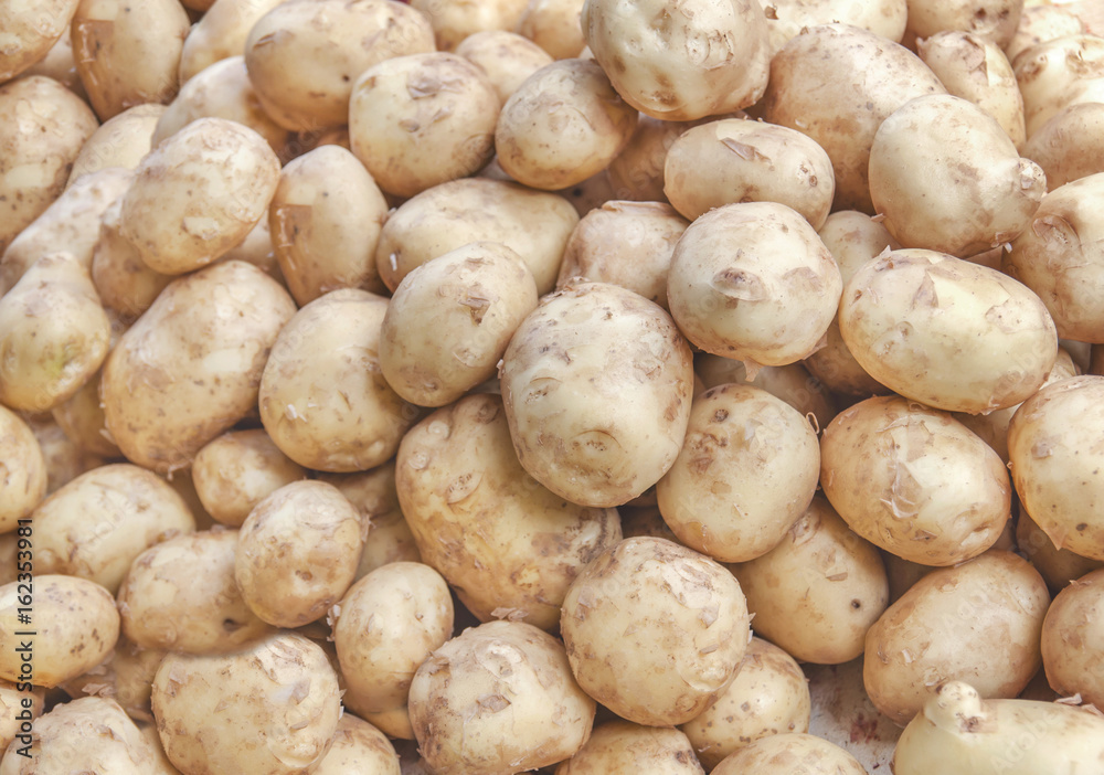 Lot of yellow organic potato product ready for cooking on fresh market Lot of yellow organic potato product ready for cooking on fresh market