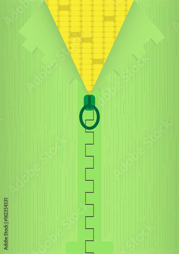 Background with zipper. Vector illustration mimic corn peeling. 