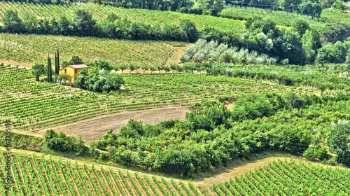 Vineyards near the city of Montepulciano, Tuscany, Italy