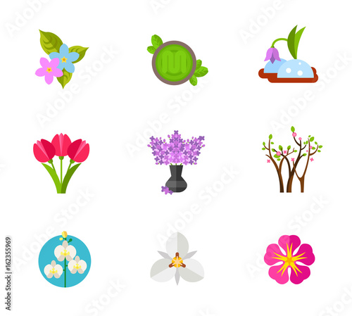 Blooming flower icon set