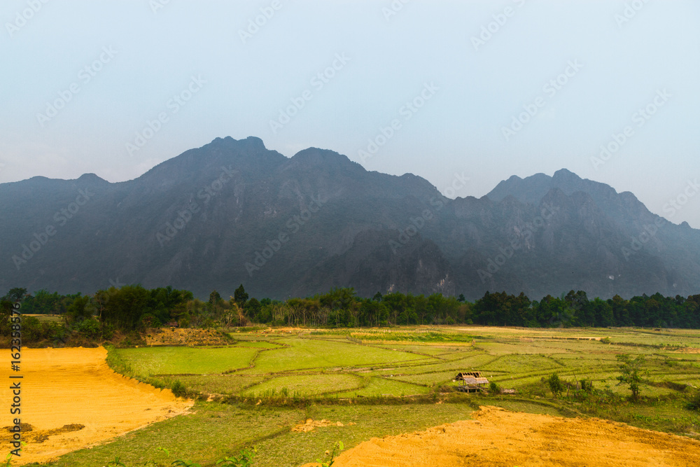 Obraz premium Rice Fields and farm in Laos, Asia