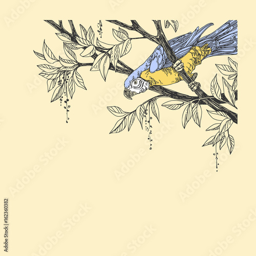 Beautiful tropical background with Ara parrot. Parrot sitting on the branches of a tree. Vintage style. Vector illustration.
