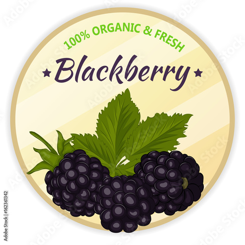 Vintage label with blackberry isolated on white background in cartoon style. Vector illustration. Fruit and Vegetables Collection.