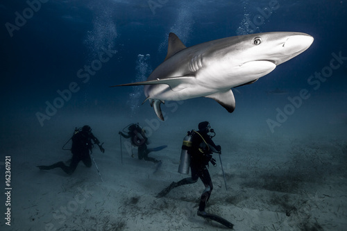 Men infested waters